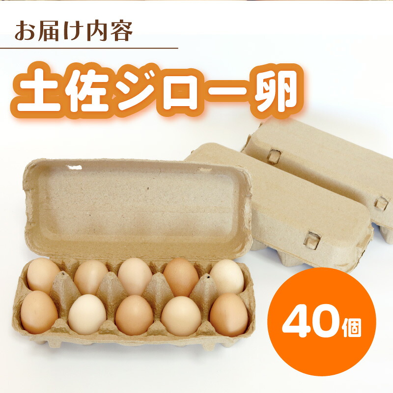 土佐ジローの卵 40個入り (10個×4パック) たまご 鶏卵 たまごかけごはん TKG オムレツ ケーキ たまご焼き おいしい おすすめ 高知県 南国市 TO008