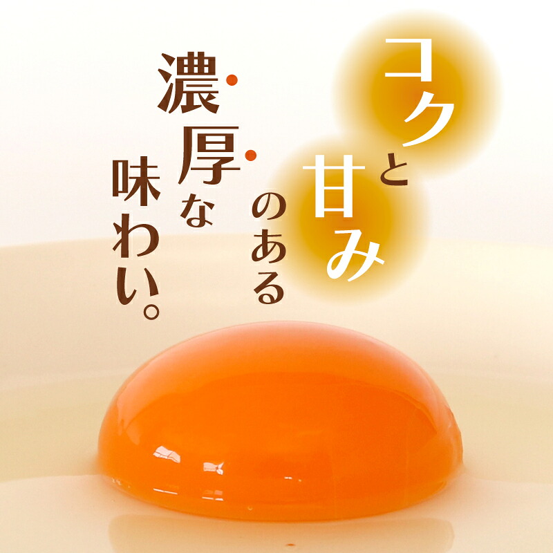 土佐ジローの卵 50個入り (10個×5パック) たまご 卵 鶏卵 たまごかけごはん オムレツ ケーキ 卵かけご飯 たまご焼き おいしい おすすめ 高知県 南国市 TO009