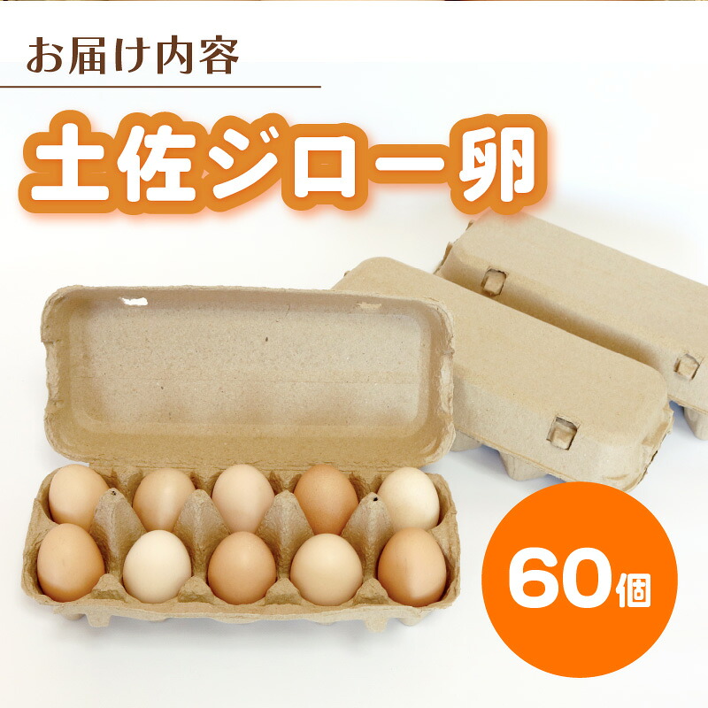 土佐ジローの卵 60個入り (10個×6パック) たまご 鶏卵 たまごかけごはん TKG オムレツ ケーキ たまご焼き おいしい おすすめ 高知県 南国市 TO010