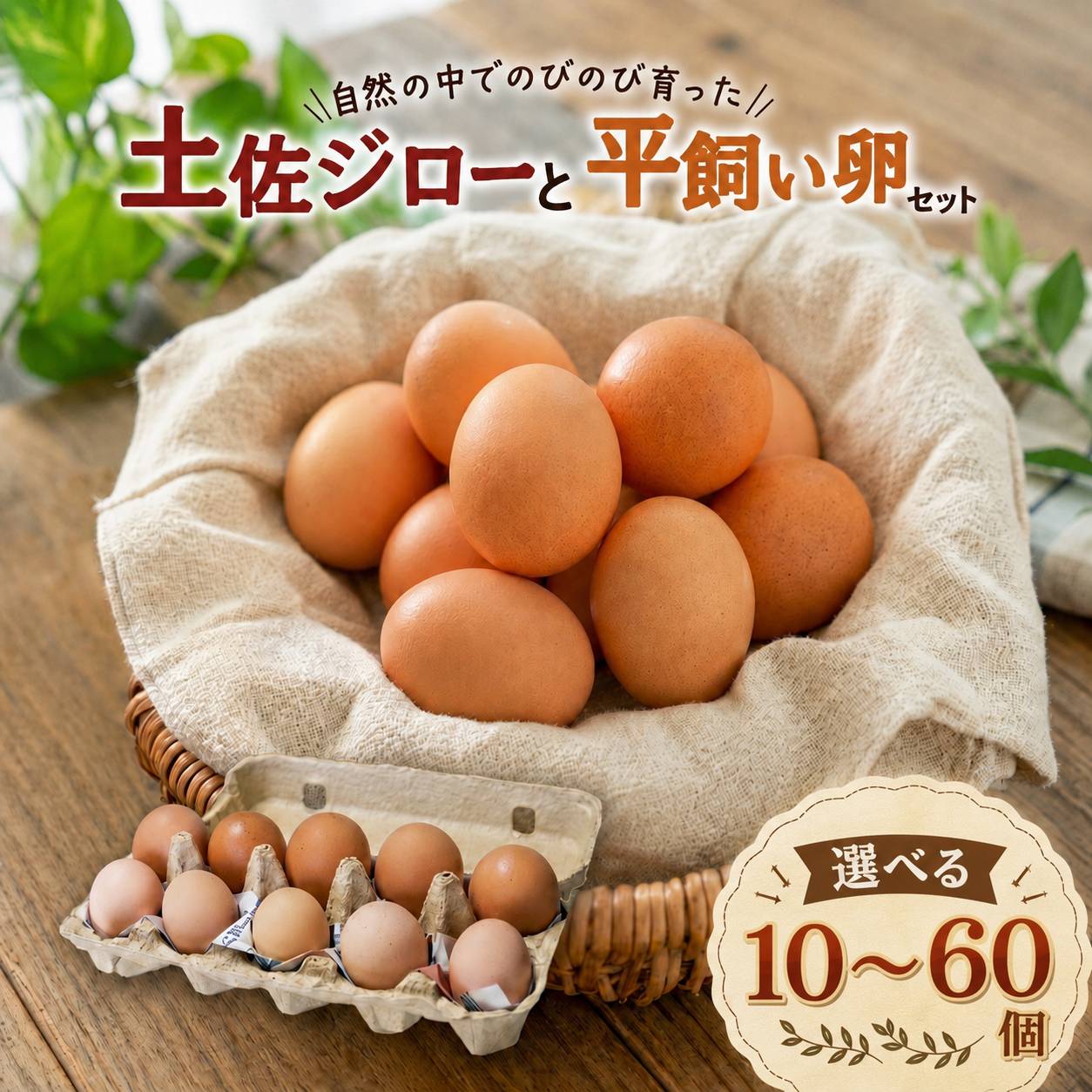 土佐ジローの卵と平飼い卵のセット 選べる 10個 20個 40個 60個 | 新鮮 鶏卵 卵黄 エッグ たまごかけご飯 玉子 すき焼き 食べ比べ 産地直送 高知県 南国市 TO011~014