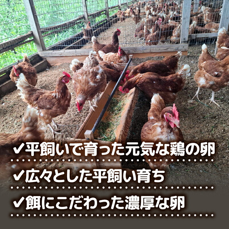 土佐ジローの卵と平飼い卵のセット 選べる 10個 20個 40個 60個 | 新鮮 鶏卵 卵黄 エッグ たまごかけご飯 玉子 すき焼き 食べ比べ 産地直送 高知県 南国市 TO011~014