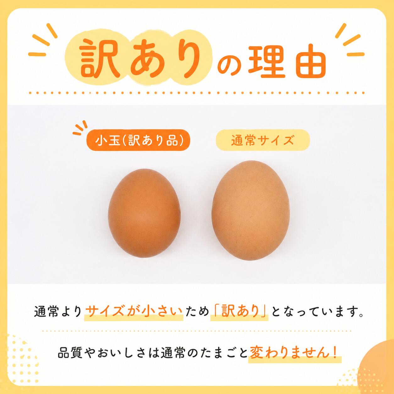 【訳あり】平飼い卵 選べる 20個 30個 40個 | 鶏卵 目玉焼き オムレツ 卵かけご飯 たまご焼き おいしい 人気 おすすめ 高知県 南国市 TO015 TO016 TO017