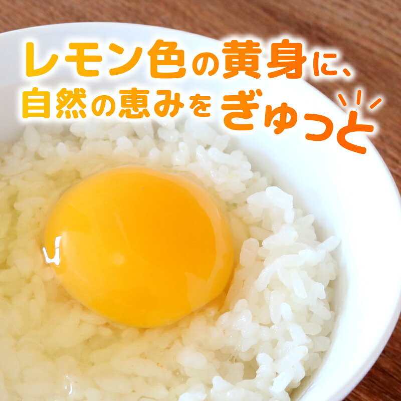 【訳あり】平飼い卵 選べる 20個 30個 40個 | 鶏卵 目玉焼き オムレツ 卵かけご飯 たまご焼き おいしい 人気 おすすめ 高知県 南国市 TO015 TO016 TO017