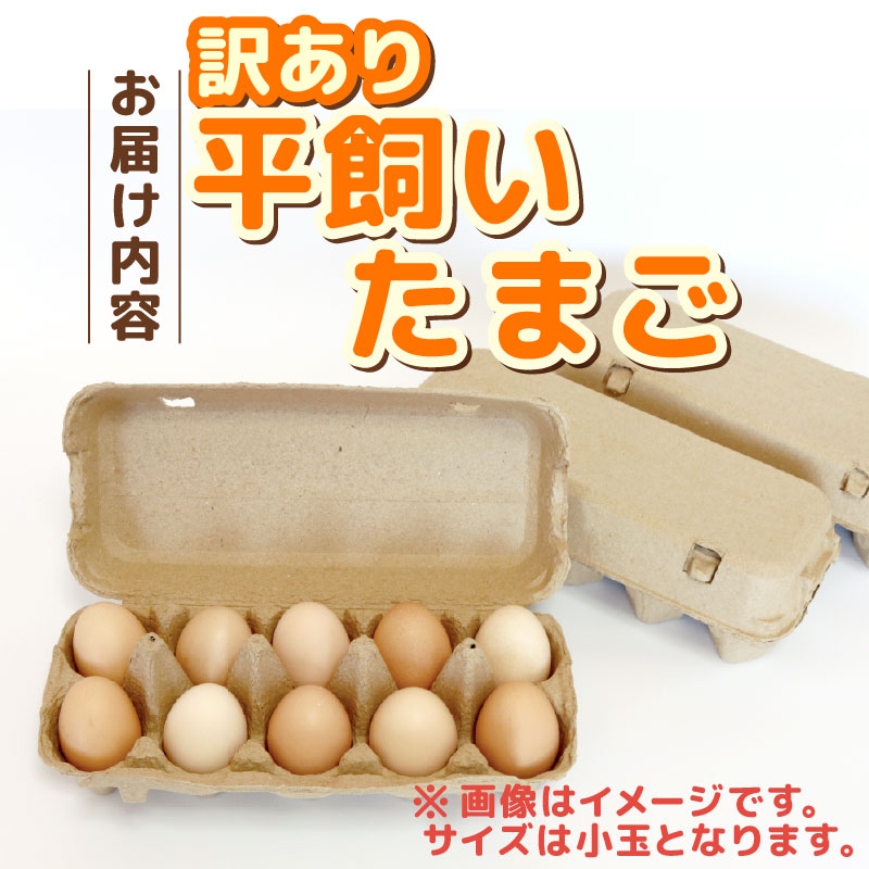 【訳あり】平飼い卵 選べる 20個 30個 40個 | 鶏卵 目玉焼き オムレツ 卵かけご飯 たまご焼き おいしい 人気 おすすめ 高知県 南国市 TO015 TO016 TO017