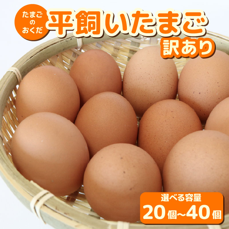 【訳あり】平飼い卵 選べる 20個 30個 40個 | 鶏卵 目玉焼き オムレツ 卵かけご飯 たまご焼き おいしい 人気 おすすめ 高知県 南国市 TO015 TO016 TO017