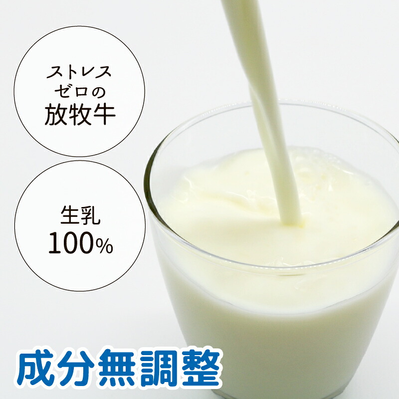 【数量限定】山地酪農牛乳 1L×2本 合計2L 低温殺菌 生乳100％ 成分無調整 人気 おすすめ ぎゅうにゅう ミルク ノンホモジナイズ製法 SB005