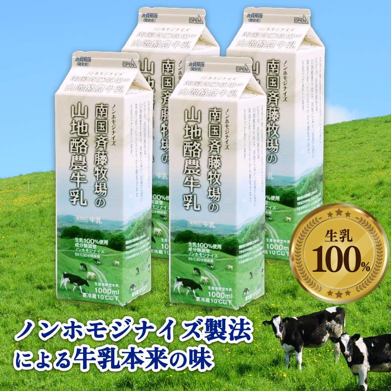 【数量限定】山地酪農牛乳 1L×4本 合計4L 低温殺菌 生乳100％ 成分無調整 人気 おすすめ ぎゅうにゅう ミルク ノンホモジナイズ製法 SB006
