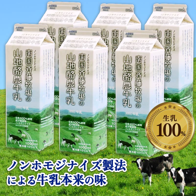 【数量限定】山地酪農牛乳 1L×6本 合計6L 低温殺菌 生乳100％ 成分無調整 人気 おすすめ ぎゅうにゅう ミルク ノンホモジナイズ製法 SB007