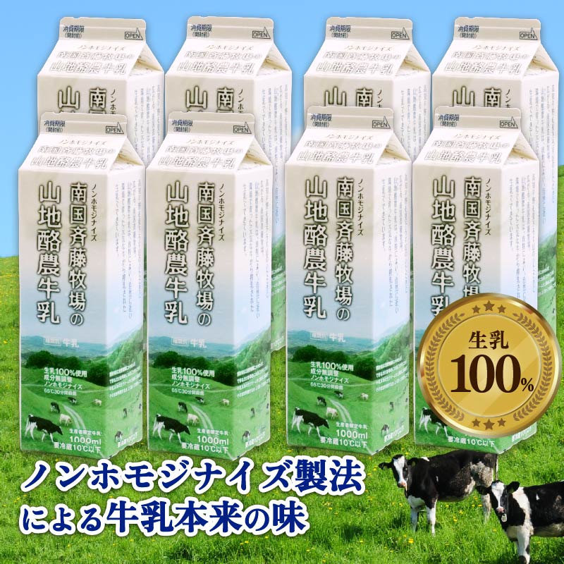 【数量限定】山地酪農牛乳 1L×8本 合計8L 低温殺菌 生乳100％ 成分無調整 人気 おすすめ ぎゅうにゅう ミルク ノンホモジナイズ製法 SB008