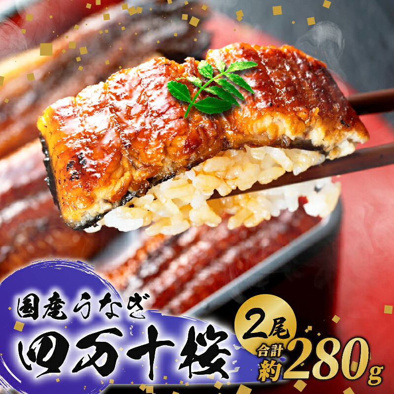 【通常用】極上国産うなぎ四万十桜 蒲焼き約140g×2尾 | 完全無投薬 鰻 土用の丑の日 調理済み タレ付き ギフト お歳暮 お正月 高級 人気 MR001