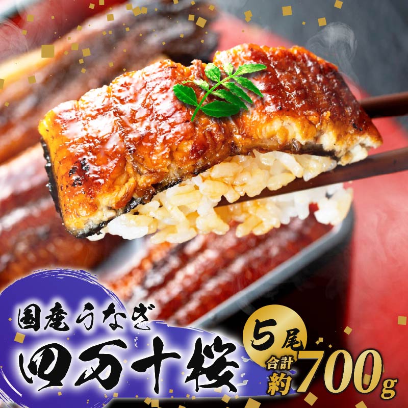 【通常用】極上国産うなぎ四万十桜 蒲焼き約140g×5尾 | 完全無投薬 鰻 土用の丑の日 調理済み タレ付き ギフト お歳暮 お正月 高級 人気 MR004