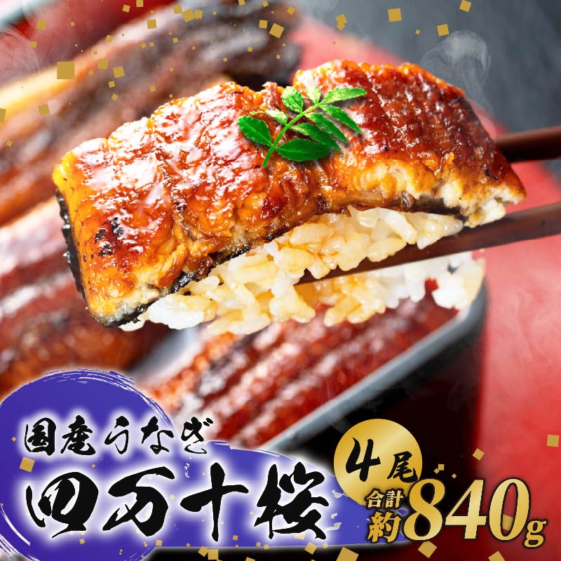 【通常用】特大 極上国産うなぎ四万十桜 蒲焼き約210g×4尾 | 完全無投薬 鰻 土用の丑の日 調理済み タレ付き ギフト お歳暮 お正月 高級 人気 MR008