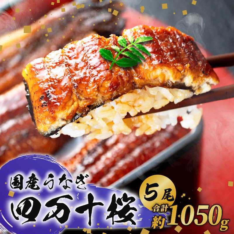 【通常用】特大 極上国産うなぎ四万十桜 蒲焼き約210g×5尾 | 完全無投薬 鰻 土用の丑の日 調理済み タレ付き ギフト お歳暮 お正月 高級 人気 MR009