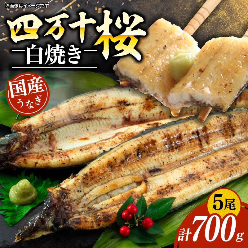 【通常用】極上国産うなぎ四万十桜 白焼き約140g×5尾 | 完全無投薬 鰻 土用の丑の日 国産 調理済み タレ付き ギフト お歳暮 お正月 高級 MR014