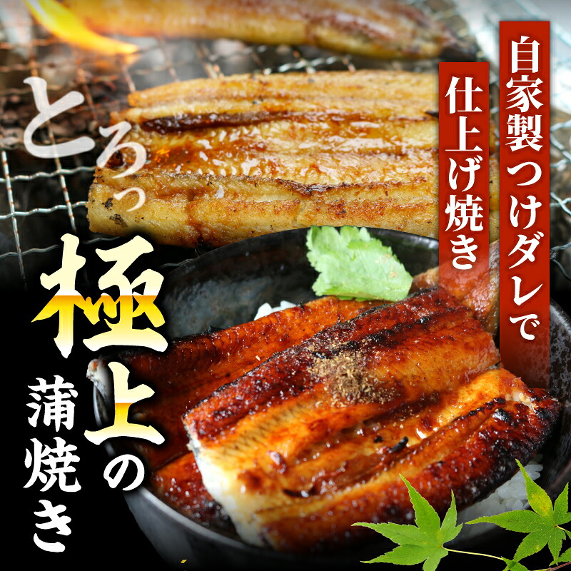 【通常用】極上国産うなぎ四万十桜 白焼き約140g×5尾 | 完全無投薬 鰻 土用の丑の日 国産 調理済み タレ付き ギフト お歳暮 お正月 高級 MR014