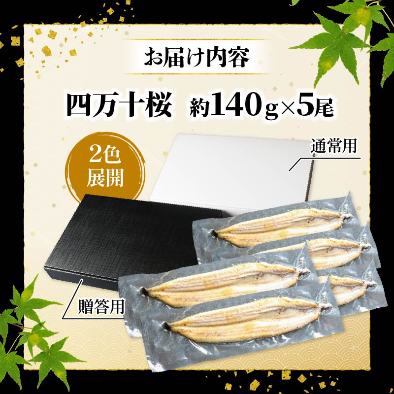 【通常用】極上国産うなぎ四万十桜 白焼き約140g×5尾 | 完全無投薬 鰻 土用の丑の日 国産 調理済み タレ付き ギフト お歳暮 お正月 高級 MR014