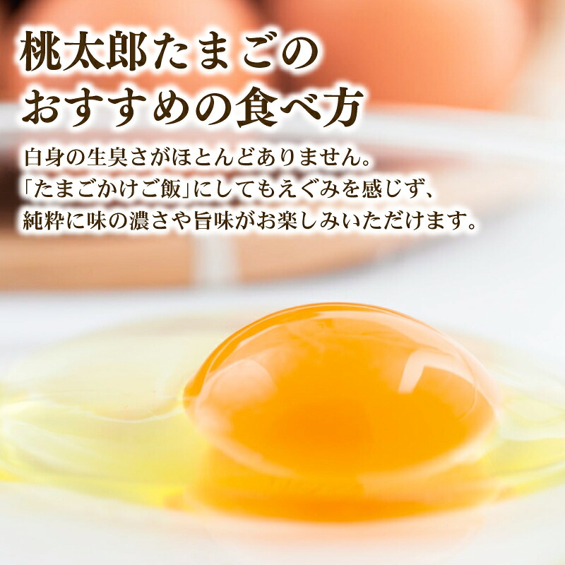 桃太郎たまご  6個入り×2パック 卵 鶏卵 たまごかけごはん TKG おいしい 赤玉 高級 人気 おすすめ 高知県 南国市  YN008