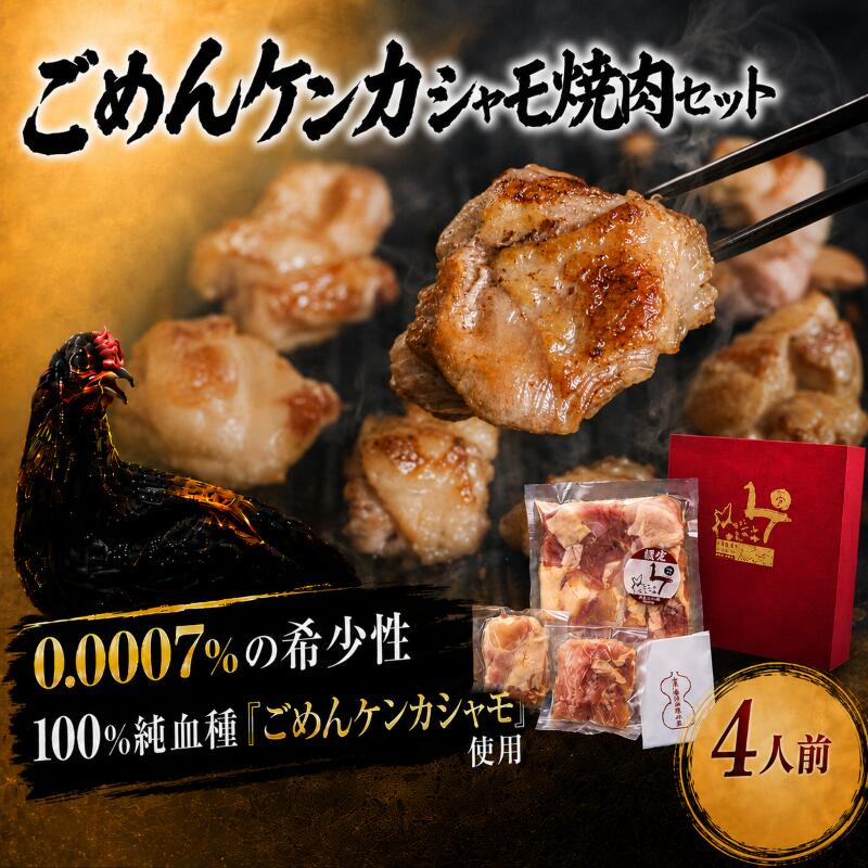 ごめんケンカシャモ焼き肉セット 4人前 BBQ バーベキュー キャンプ アウトドア 冷凍 シャモ 国産鶏肉 チキン とりにく 鶏肉 おすすめ 純血種 大軍鶏 ギフト 贈答 高知県 南国市 GS003