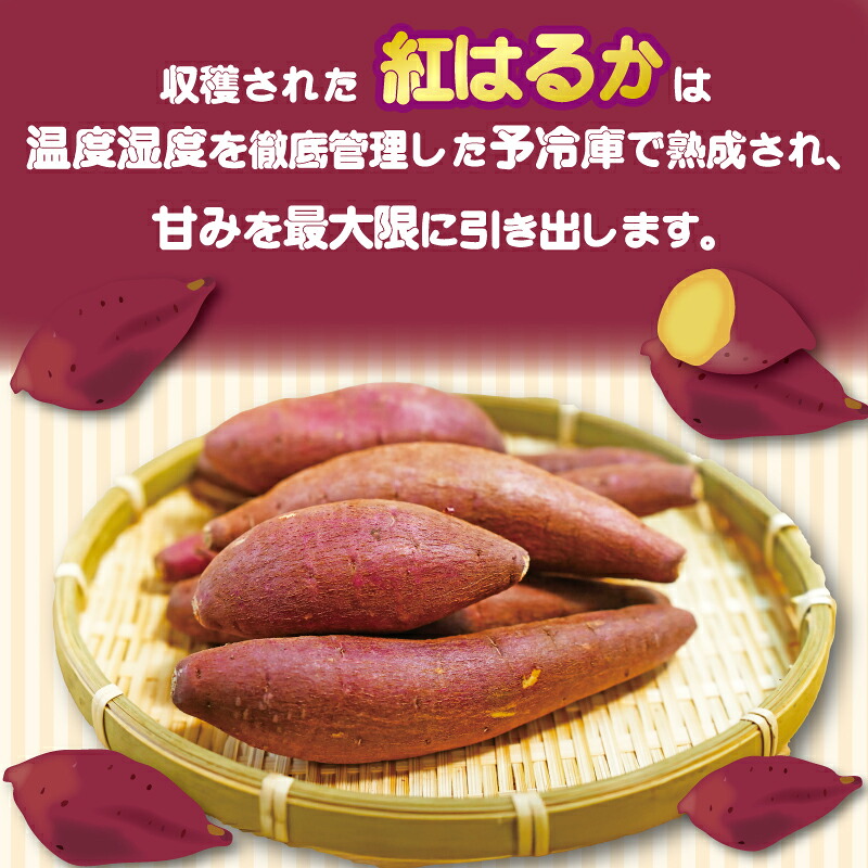 いもスティック 100g×6パック いも 芋 おやつ お菓子 食物繊維 サツマイモ 紅はるか 天ぷら 冷凍 高知県 南国市 HS004
