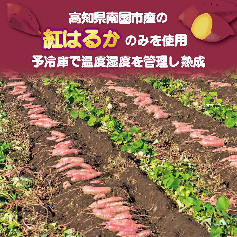 冷凍 焼き芋 200g×3パック いも 芋 おやつ お菓子 食物繊維 サツマイモ 天ぷら 冷凍 紅はるか やきいも 焼芋 やき芋 焼いも 焼きいも 高知県 南国市 HS005