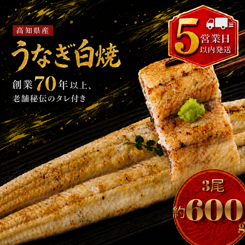 【スピード発送】【日時指定可能】高知県産うなぎ 白焼き 3尾 国産 日本産 鰻 有頭 しらやき 土用の丑の日 高級 老舗 釜めし初音 タレ付き 冷凍 人気 おすすめ 湯煎 簡単 南国市 KH008