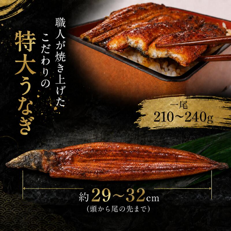 【スピード発送】 【日時指定 可能】 高知県産うなぎ 白焼 蒲焼 セット 各3尾 国産 鰻  蒲焼き かばやき 白焼き しらやき 食べ比べ 土用丑の日 土用の丑の日 丑の日 KH013