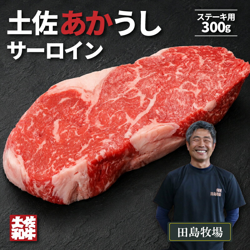 赤身 土佐 あかうし 赤牛 サーロイン ステーキ用 300g | 和牛 あか牛 アカウシ 牛肉 希少 ブランド 国産 プレゼント ギフト 冷凍 贈答 高知県 南国市 MM001