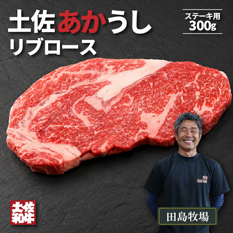 赤身 土佐 あかうし 赤牛 リブロース ステーキ用 300g | 和牛 あか牛 アカウシ 牛肉 希少 ブランド 国産 プレゼント ギフト 冷凍 贈答 高知県 南国市 MM002