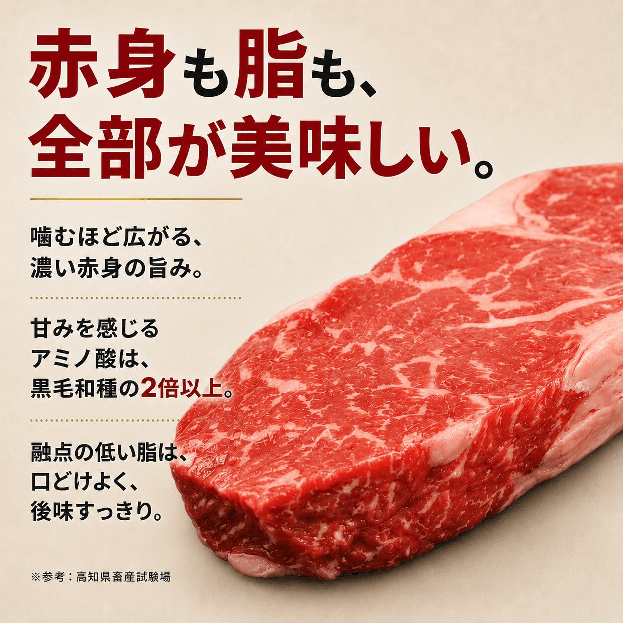 赤身 土佐 あかうし 赤牛 バラカルビ 焼肉用 400g | 和牛 あか牛 アカウシ 牛肉 希少 ブランド 国産 プレゼント ギフト 冷凍 贈答 高知県 南国市 MM006