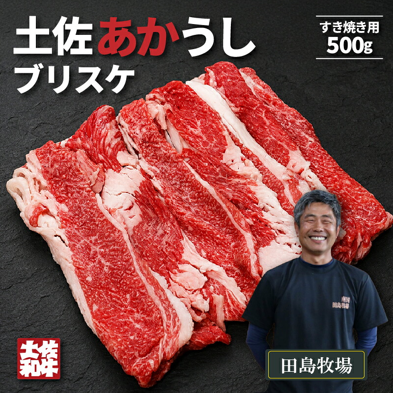 赤身 土佐 あかうし 赤牛 ブリスケ(前バラ)  すき焼き用 500g | 和牛 あか牛 アカウシ 牛肉 希少 ブランド 国産 プレゼント ギフト 冷凍 贈答 高知県 南国市 MM009