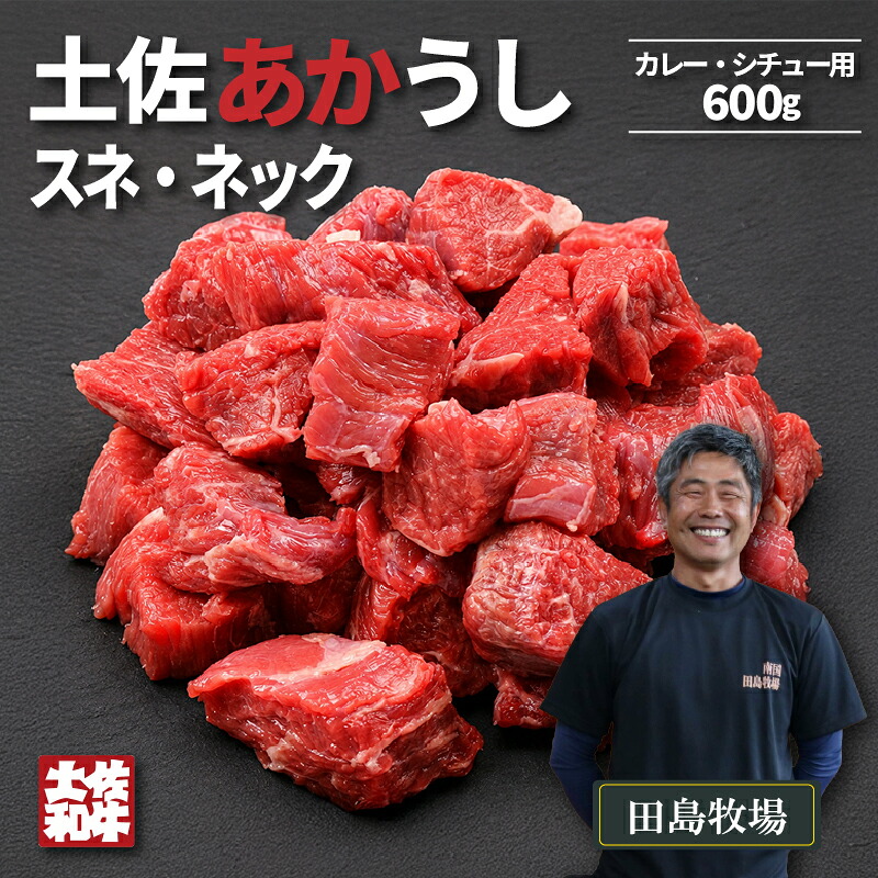 赤身 土佐 あかうし 赤牛 スネ・ネック サイコロカット カレー・シチュー用 600g | 和牛 あか牛 アカウシ 牛肉 希少 国産 プレゼント ギフト 冷凍 贈答 高知県 南国市 MM011