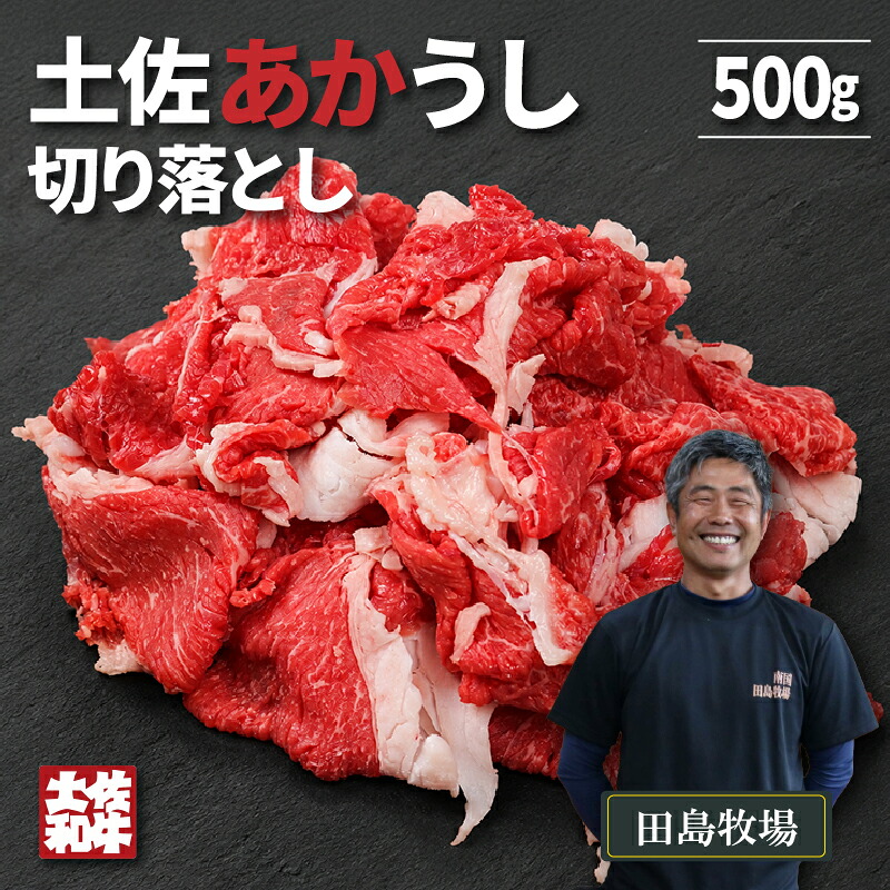 赤身 土佐 あかうし 赤牛 切り落とし 500g | 和牛 あか牛 アカウシ 牛肉 希少 ブランド 国産 プレゼント ギフト 冷凍 贈答 高知県 南国市 MM012