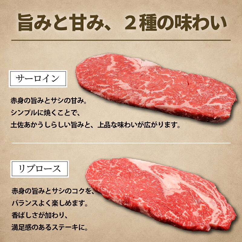 赤身 土佐 あかうし 赤牛 ロース ステーキ 贅沢 2種 食べ比べ Bセット 計400g 和牛 あか牛 アカウシ 牛肉 希少 ブランド 国産 プレゼント ギフト 冷凍 贈答 高知県 南国市 MM015