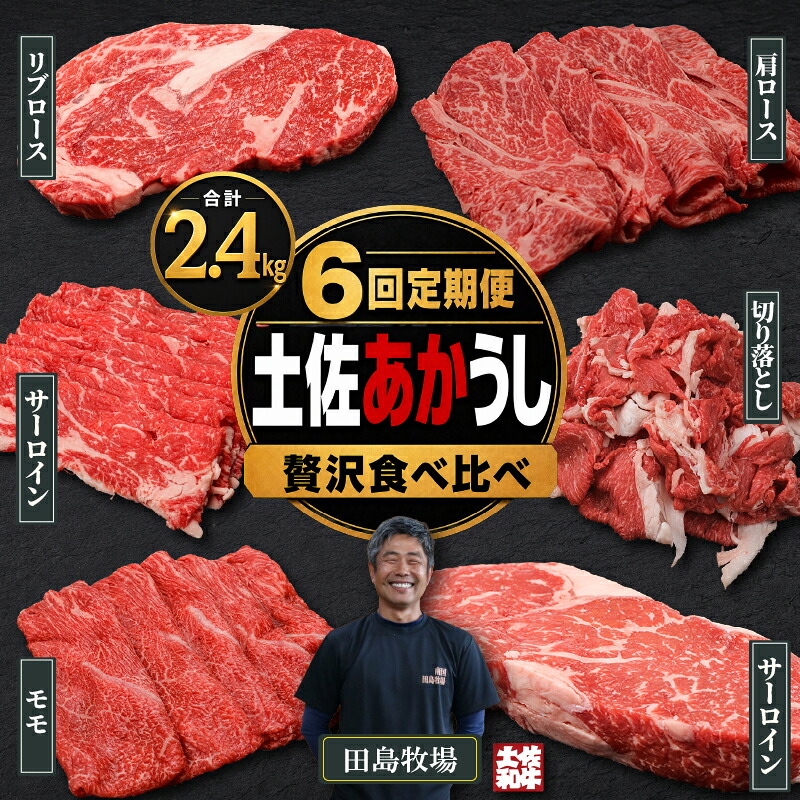 【6回 定期便】 赤身 土佐 あかうし 赤牛 贅沢 食べ比べ 6種 2.4kg | 和牛 あか牛 アカウシ 牛肉 希少 ブランド 国産 プレゼント ギフト 冷凍 贈答 高知県 南国市 MM1100