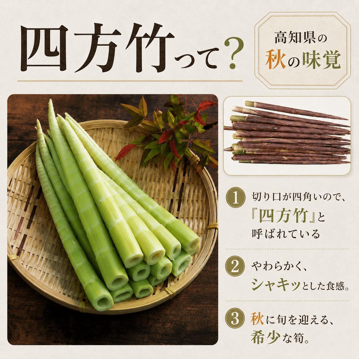 【期間限定】 国産 四方竹 炊き込みごはんの素 選べる 2 ~ 5袋 (2026年11月~発送) | 筍 たけのこ 竹の子 タケノコ 先行予約 珍味 希少 常温 簡単調理 高知 南国市 FG005VP