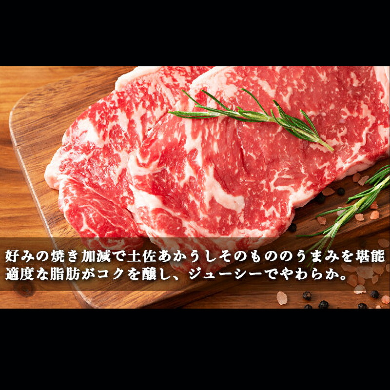 土佐あかうし 和牛サーロイン/ステーキ 500g(250g×2枚) | 土佐あかうし あか牛 赤身 和牛 希少 幻 和牛 脂 さっぱり 旨味 ヘルシー 高タンパク 贅沢 KD004