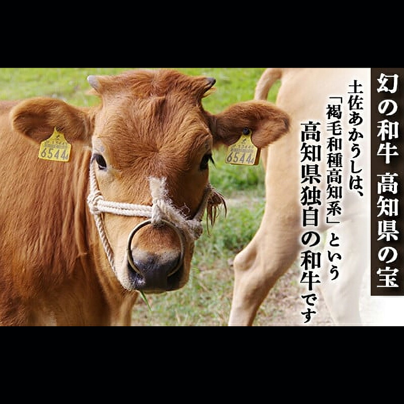 土佐あかうし 和牛クラシタ/しゃぶしゃぶ用 500g | 土佐あかうし あか牛 赤身 和牛 希少 幻 和牛 脂 さっぱり 旨味 ヘルシー 高タンパク 贅沢 KD012
