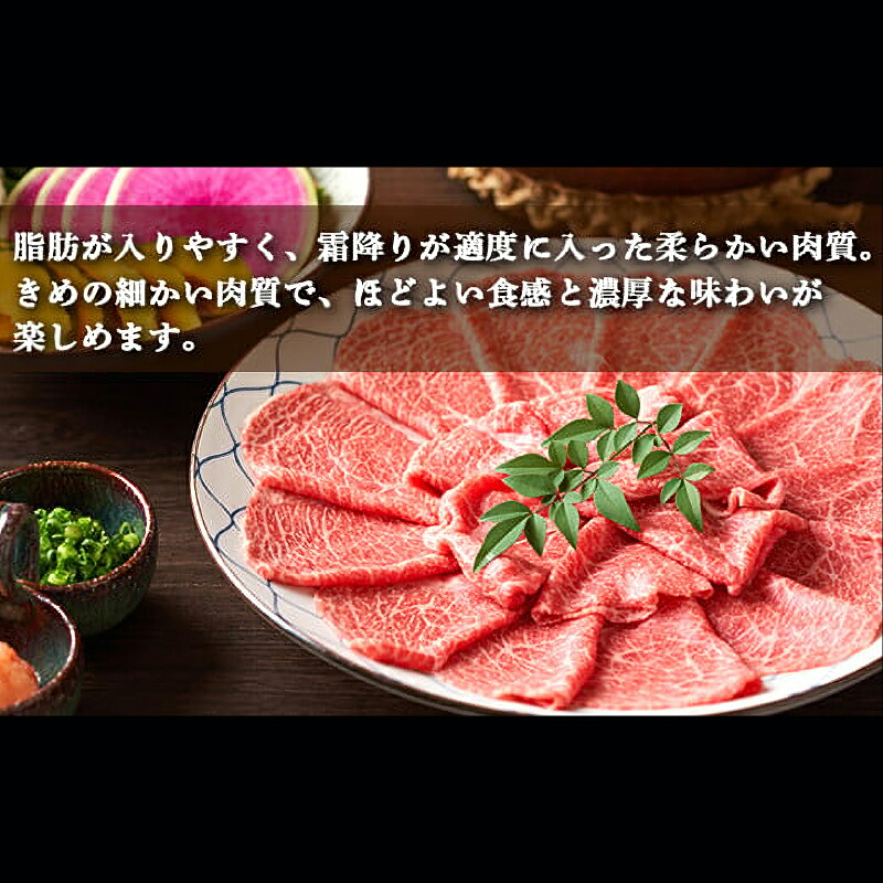 土佐あかうし 和牛クラシタ/しゃぶしゃぶ用 500g | 土佐あかうし あか牛 赤身 和牛 希少 幻 和牛 脂 さっぱり 旨味 ヘルシー 高タンパク 贅沢 KD012