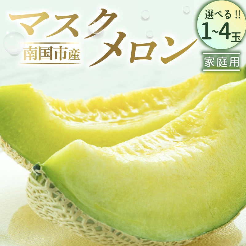 家庭用マスクメロン 1個 2個 3個 4個 1玉 2玉 3玉 4玉 フルーツ 果物 くだもの 食品 デザート 訳あり 高評価 人気 おすすめ 旬 産地直送 ふるさと納税メロン 西島園芸団地 高知県 南国市 NE021 NE001 NE026 NE022