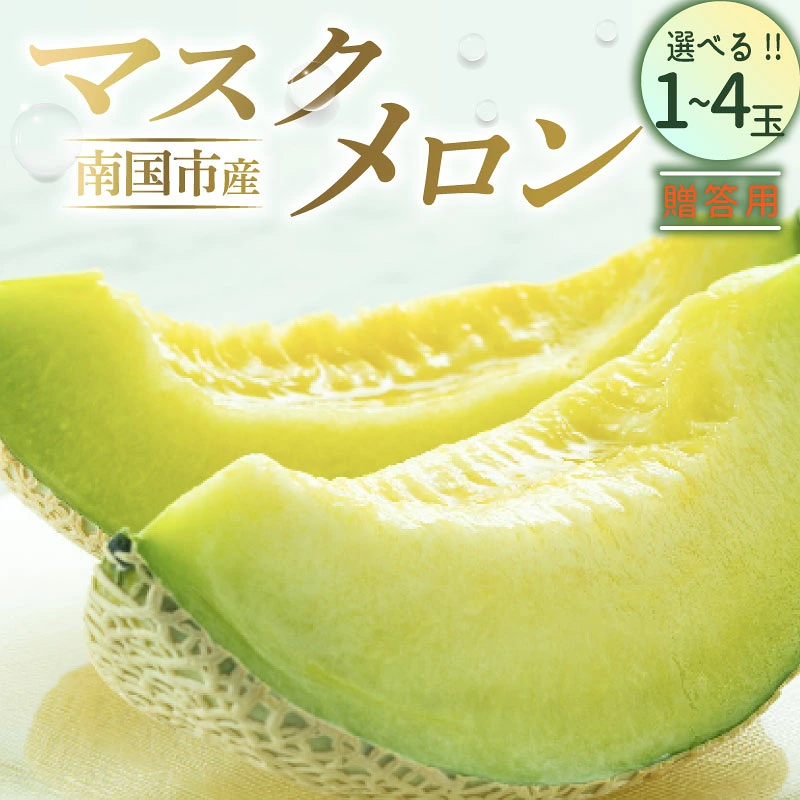 贈答用マスクメロン 1玉 2玉 3玉 4玉 フルーツ 果物 くだもの プレゼント 食品 高級 ギフト 贈り物 高評価 人気 おすすめ 旬 産地直送 ふるさと納税メロン 西島園芸団地 高知県 南国市 NE014 NE015 NE027 NE028