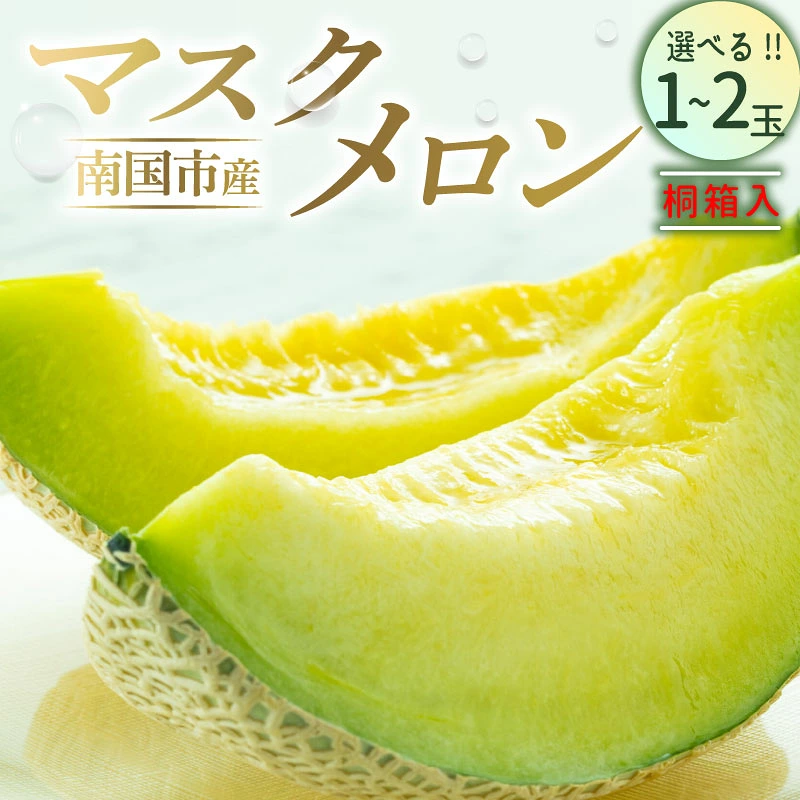 桐箱入りマスクメロン 1個 2個 1玉 2玉 フルーツ 果物 くだもの プレゼント 食品 贈答用 高級 ギフト 贈り物 高評価 人気 おすすめ 旬 産地直送 ふるさと納税メロン 西島園芸団地 高知県 南国市 NE017 NE018