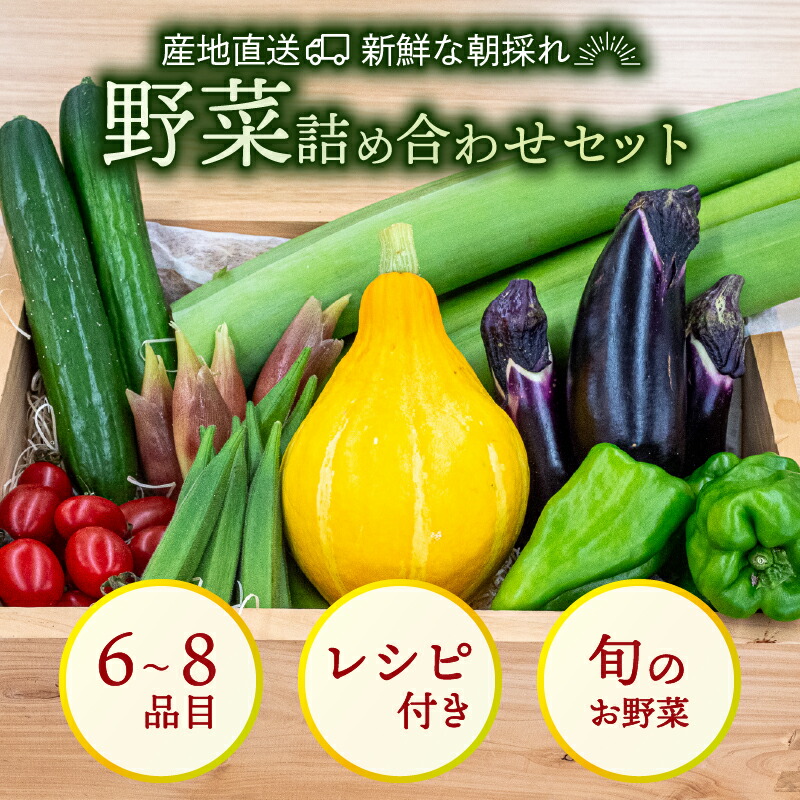 野菜 セット 6 ～ 8品目 詰め合わせ レシピ 付き 産地直送 高知県 須崎市 新鮮野菜  新玉ねぎ そら豆 スナップえんどう 春キャベツ フルーツトマト みょうが ズッキーニ オクラ かぼちゃ
