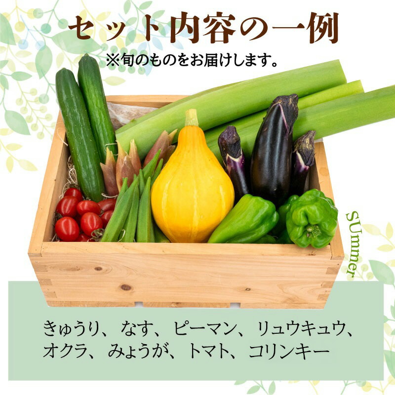 野菜 セット 6 ～ 8品目 詰め合わせ レシピ 付き 産地直送 高知県 須崎市 新鮮野菜  新玉ねぎ そら豆 スナップえんどう 春キャベツ フルーツトマト みょうが ズッキーニ オクラ かぼちゃ
