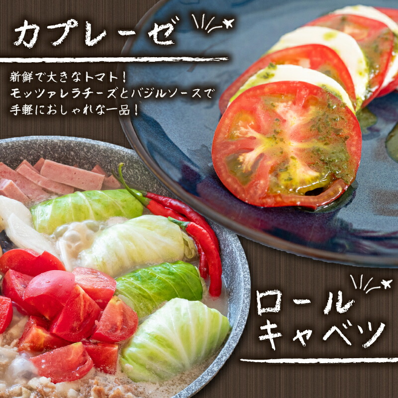 野菜 セット 6 ～ 8品目 詰め合わせ レシピ 付き 産地直送 高知県 須崎市 新鮮野菜  新玉ねぎ そら豆 スナップえんどう 春キャベツ フルーツトマト みょうが ズッキーニ オクラ かぼちゃ