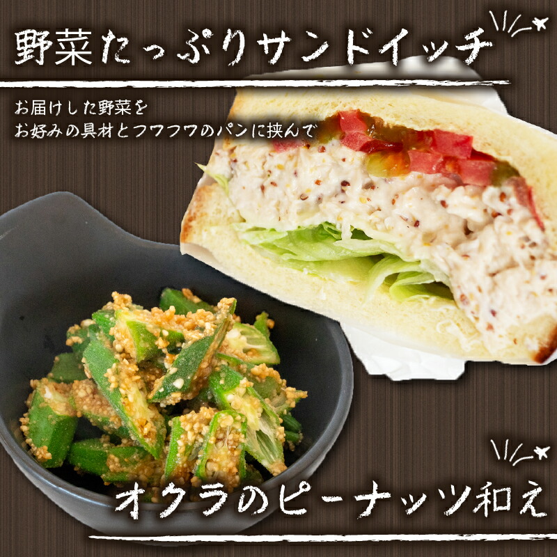 野菜 セット 6 ～ 8品目 詰め合わせ レシピ 付き 産地直送 高知県 須崎市 新鮮野菜  新玉ねぎ そら豆 スナップえんどう 春キャベツ フルーツトマト みょうが ズッキーニ オクラ かぼちゃ