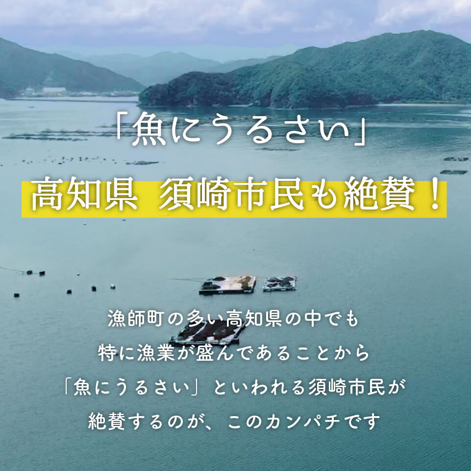 高級カンパチ ｢須崎勘八｣ 1節 約0.3～0.4kg 冷蔵 神経締め 刺身 お刺し身 高級魚 鮮魚 海鮮 魚介 かんぱち