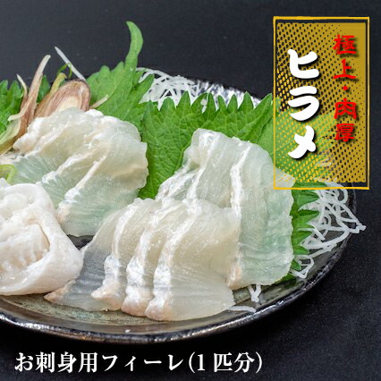 極上 ヒラメ 2枚 【 800g ～ 1.2kg 】 1匹 分 高級魚 鮃 刺身 刺し身 真空パック 高知県 須崎市 ひらめ KS0081
