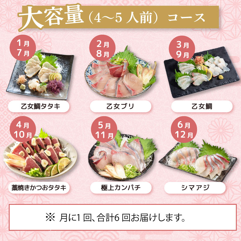 刺身 定期便 6ヶ月 小容量 コース 小島水産 がお届けする！ 美味しい お刺身 ( 鮮魚 下処理済 ) 産地直送 半年 新鮮 6回 （ ブリ かつおタタキ タイ カンパチ 鰤 鰹 真鯛 環八
