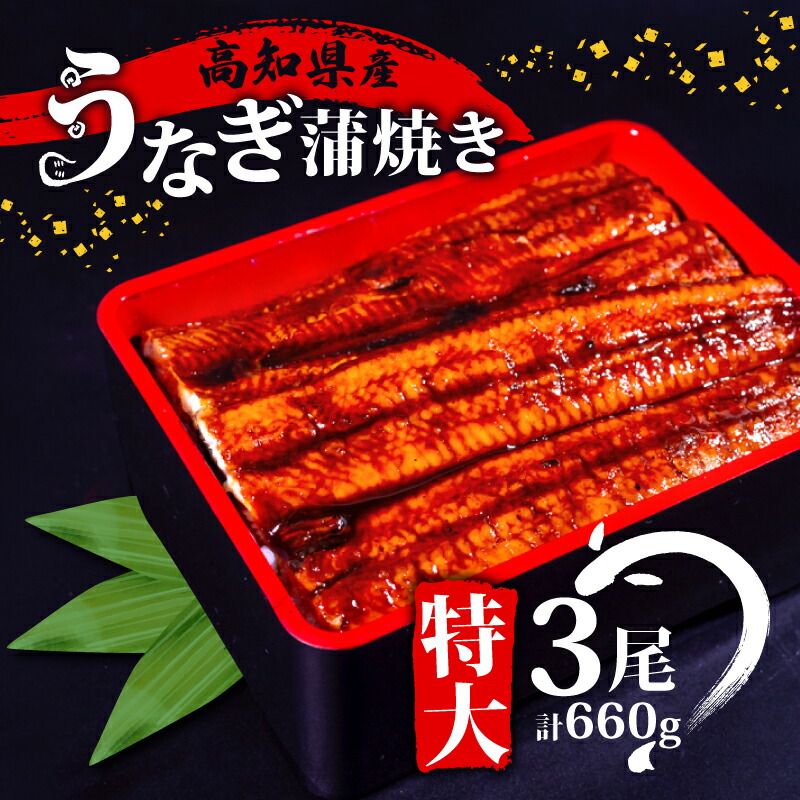 国産 うなぎ 蒲焼き 3尾 ( 1尾 約220g ) 尾頭付き 土用の丑の日 高知県産 蒲焼 特大 特上 鰻 ひつまぶし うな丼 うな重 お歳暮 ギフト 冷凍 養殖 ふるさと納税うなぎ 高知県 須崎市