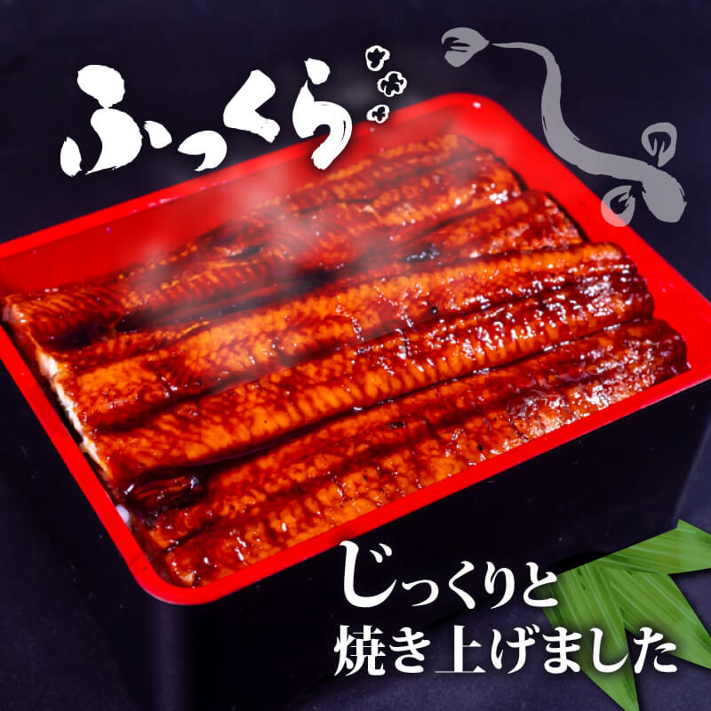 国産 うなぎ の 蒲焼き 2尾 ( 1尾 100g ~ 120g ) 尾頭付き 土用の丑の日 高知県産 蒲焼 特上 鰻 ひつまぶし うな丼 うな重 お歳暮 ギフト 冷凍 養殖 ふるさと納税うなぎ